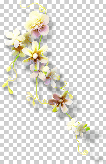 Transparencia y translucidez flor, flor., rama, tallo de la planta, servicios de diseño de interiores png