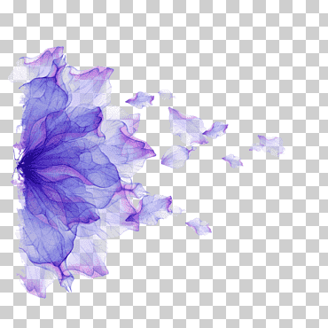 Flor de pétalo púrpura, flor de portátil pétalo de púrpura, flotador de pétalos de púrpura, pintura de acuarela, Violeta, isla flotante png