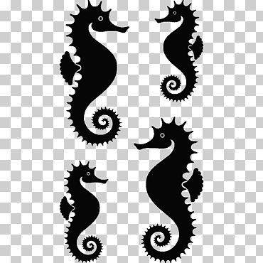 seahorse oss 2.0 associazione nazionale operatori socio sanitari sticker ases media, agencia de publicidad, diseño, comunicación y marketing., seahorse, animales, etiqueta, pegatina png