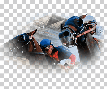 Casa de apuestas apuestas deportivas, apuestas deportivas, experto, software de ordenador, conocimiento png