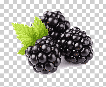 tayberry mora fruta frambuesa, mora, Frutti di Bosco, comida, Reino libre png