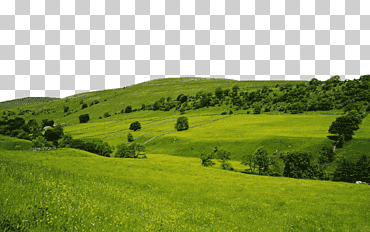 prado, pradera, ladera, prado, pradera, ladera png