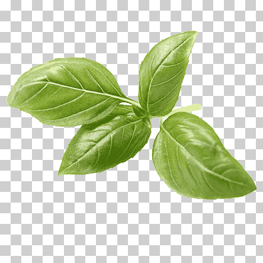 albahaca cocina mediterránea té pesto cocina italiana, planta arábica, vegetales de hoja, comida, hoja png
