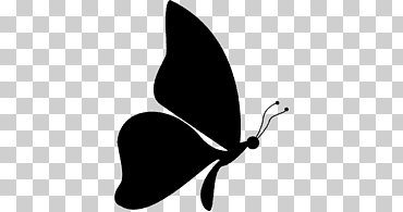 mariposa monarca silueta, mariposa, cara, hoja, insectos png