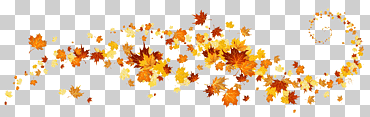 Color de la hoja de otoño, decoración de hojas de otoño, marco de hojas de arce amarillas y rojas, hoja, texto, hoja de arce png