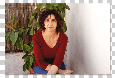 juana gallego ayala de reinas a ciudadanas: medios de comunicación, ¿motor o rémora para la igualdad? universidad autonoma de barcelona, ​​mujer, Juana, gallego, ayala png