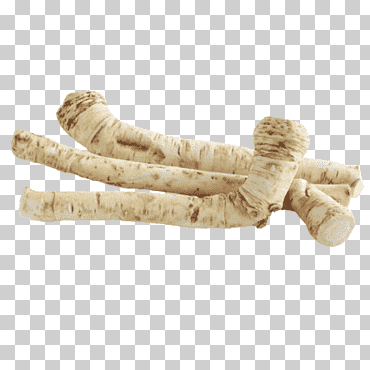 Rábano picante, Rábano picante png