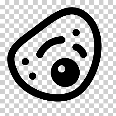 iconos de computadora eucariota, célula eucariota, célula eucariota, célula, en blanco y negro, sonreír png