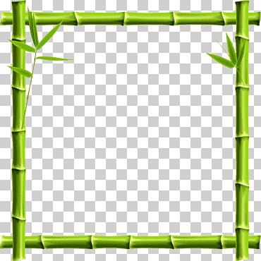 borde de bambú verde, marco de panda gigante de bambú, borde de bambú, frontera, cuadro, ángulo png