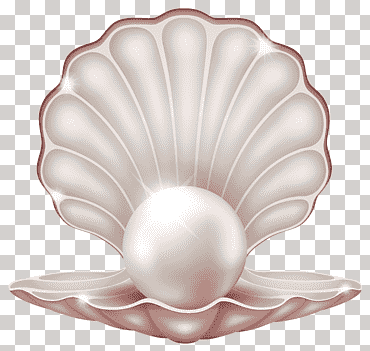 Perla, hermosa almeja con perla, concha gris con perla, playa, verano, flor png