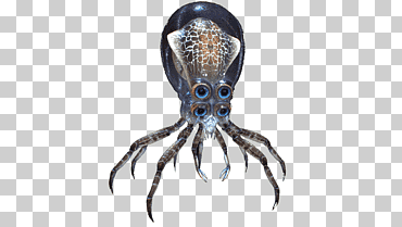 subnautica videojuego tv tropes leviatán wiki, cangrejo, diverso, juego, animales png