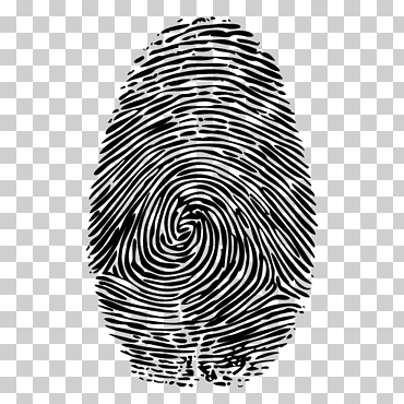 huella digital, huella digital, diverso, espiral, monocromo png