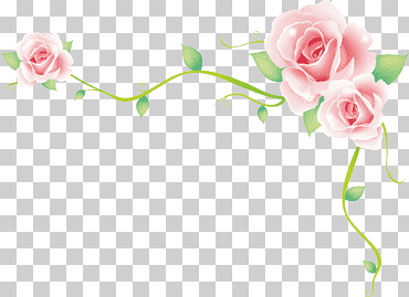 borde rosa rosa mar, flor rosa ilustración, frontera, otro, arreglos florales png