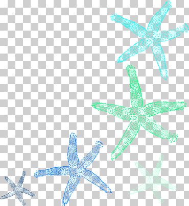 estrella de mar, fondo marino, animales, presentación, Reino libre png