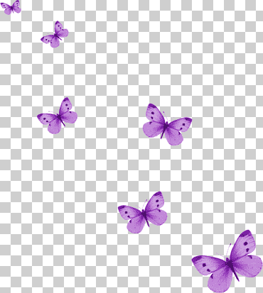 iconos de computadora mariposa, lila, púrpura, Violeta, magenta png