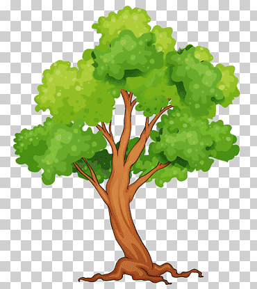 selva tropical arbol, arbol, vegetales de hoja, hoja, rama png