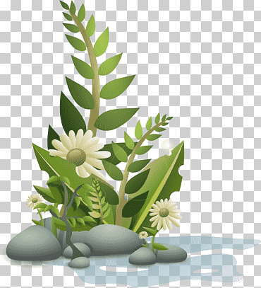 plantar iconos de computadora, flores, hoja, tallo de la planta, flor png