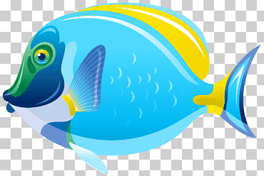 Ilustración de pez azul y amarillo, pez, pez, mamífero marino, Biología Marina, pez payaso png