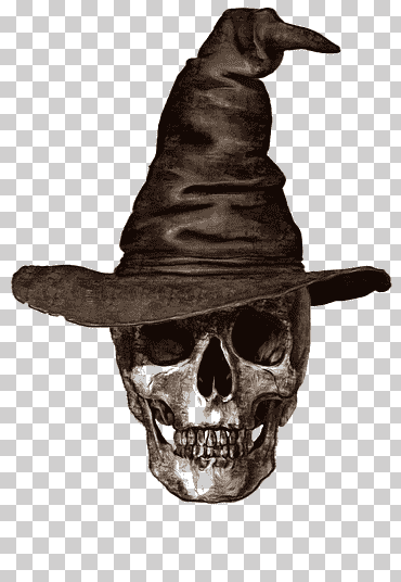 Calavera gris con gorra de bruja, calavera simbolismo humano dibujo esqueleto, bruja esqueleto, blanco, cara, alfiler png
