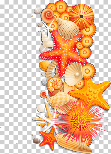 Ilustraciones de conchas marinas, dibujos animados del mar ola del viento del océano, creativa estrella de mar amarilla, playa, cdr, animales png