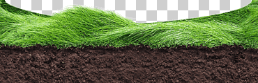 pradera de pasto, tierra, sección, suelo png