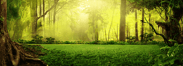 bosque de fantasía fondo verde taobao, taobao creativo, naturaleza, verde png