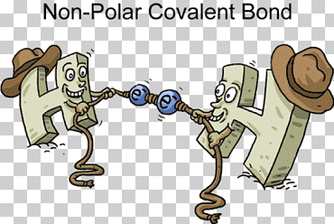 polar covalente enlace químico enlace iónico polaridad química polaridad, mamífero, química, dibujos animados png