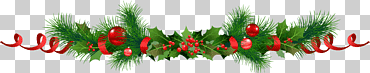 Guirnalda de panettone acebo común de navidad, navidad, Navidad, decoración, común png