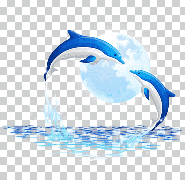 Dos delfines azules y blancos, delfín oceánico, delfín., mamífero marino, mamífero, animales png