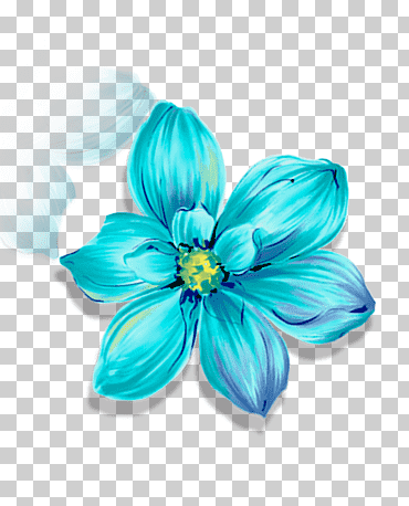 cartel de belleza cuidado de la piel, microblogging, belleza, protección de la piel png