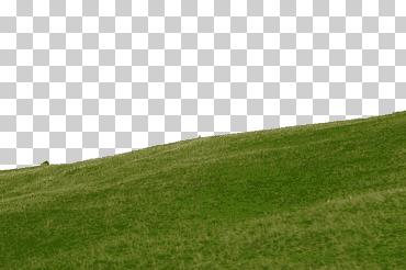 hierba en la pendiente, pradera, pendiente de hierba, césped png