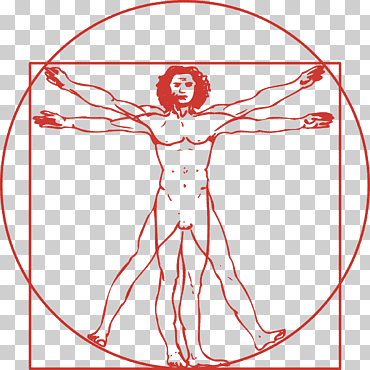 hombre de Vitruvio, diverso, ángulo, texto png