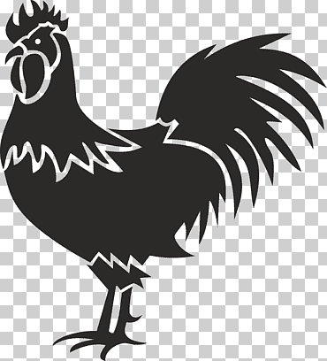 gallo gallo, animales, galliformes, monocromo png