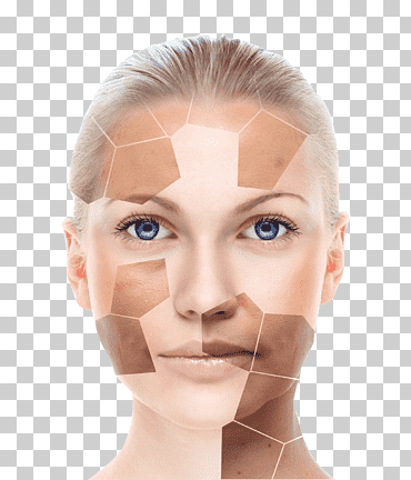 modelo, organización, cirugía plástica, belleza png