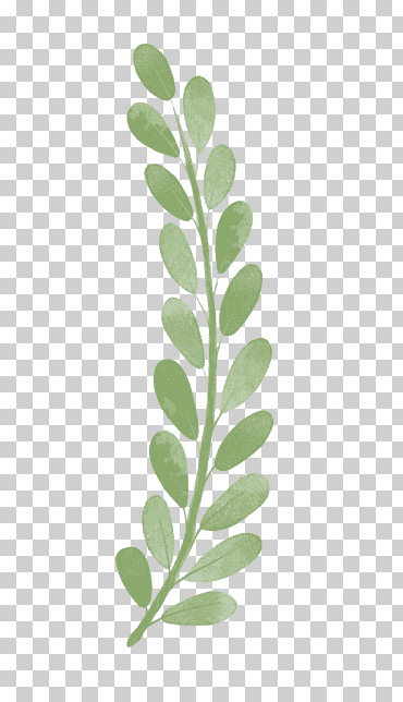 hojas verdes, rama, hojas de acuarela, pintura de acuarela, hojas de acuarela, hoja png