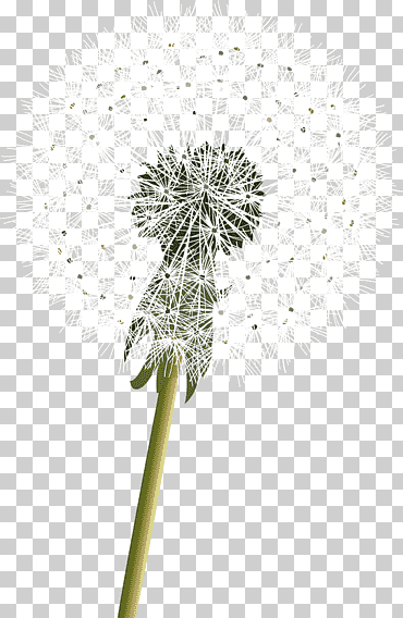 samsung galaxy s iii samsung galaxy s4 android, verde sueño diente de león, decorativo, tallo de la planta, manzana verde png