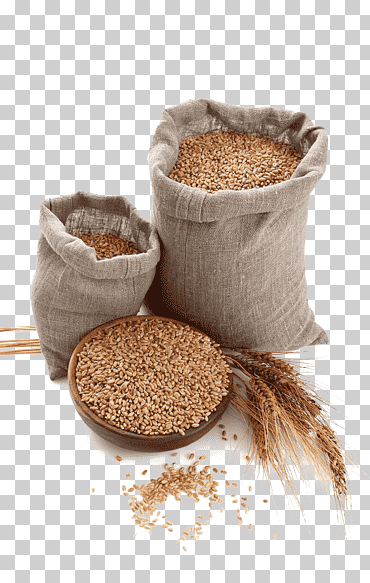 dos sacos de coronas, hegira musulmán zakat al-fitr eid al-fitr, arroz, grano integral, arrozal, bolsas de arroz png