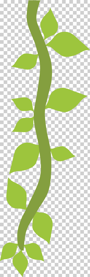 Vid verde, diseño de página de safari, safari de selva., ángulo, hoja, rama png