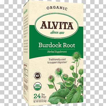 té verde alimentos orgánicos menta mentha spicata, té, té, té de hierbas, herbario png