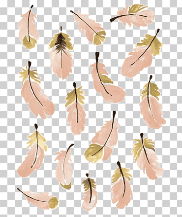 Plumas rosadas y marrones, pared infantil de phoenicopteridae de vivero, sombreado de plumas rosadas, hoja, animales, rama png