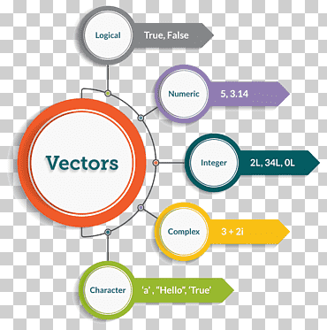 Plantilla de infografía información del tipo de datos, variedad de lenguajes de programación., texto, logo, datos png