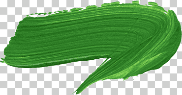 rodillos de pintura de pincel verde, pintura, pintura de acuarela, azul, hoja png
