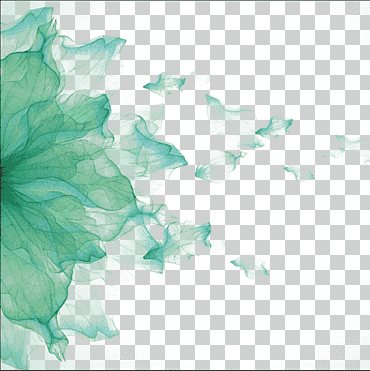 Ilustración de hoja verde, acuarela dibujo flor, hoja hoja verde, textura, hoja de arce, póster png