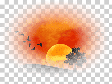 computadora de escritorio de primer plano sky plc, computadora, atmósfera, naranja, fondo de pantalla de la computadora png