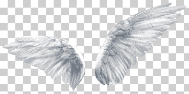 ala mariposa ángel, alas de ángel, alas ilustración, azul, blanco, logo png