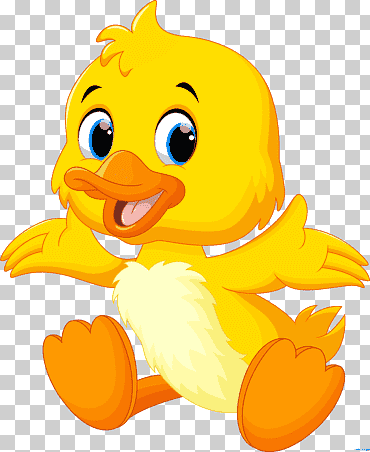Patito amarillo, patitos, pato, animales, vertebrado, infantil png