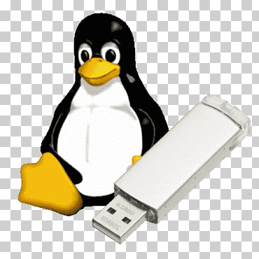 grupo de usuarios de linux grupo de usuarios de linux distribución de linux kernel de linux, linux, memoria USB, raíz, pájaro png