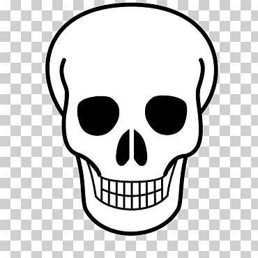 Dibujo de calavera y tibias cruzadas, calavera, cara, monocromo, cabeza png