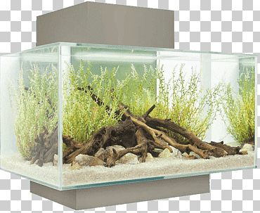 Ligero nano acuario filtro fishkeeping tanque rectangular, vaso, cultura, acuario png
