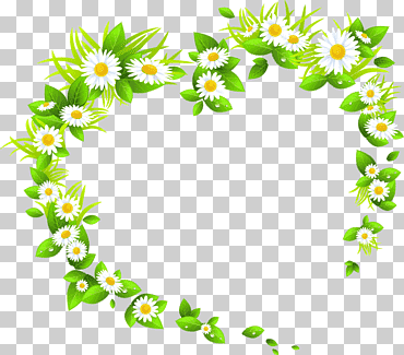 flor pascua manzanilla flor, botánica, hoja, texto png